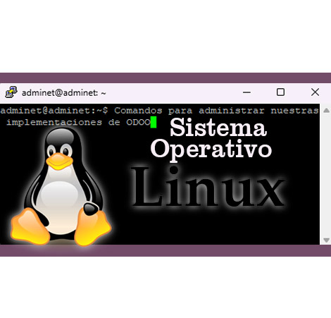 Linux ¡Domina el S.O. mas potente para implementadores!